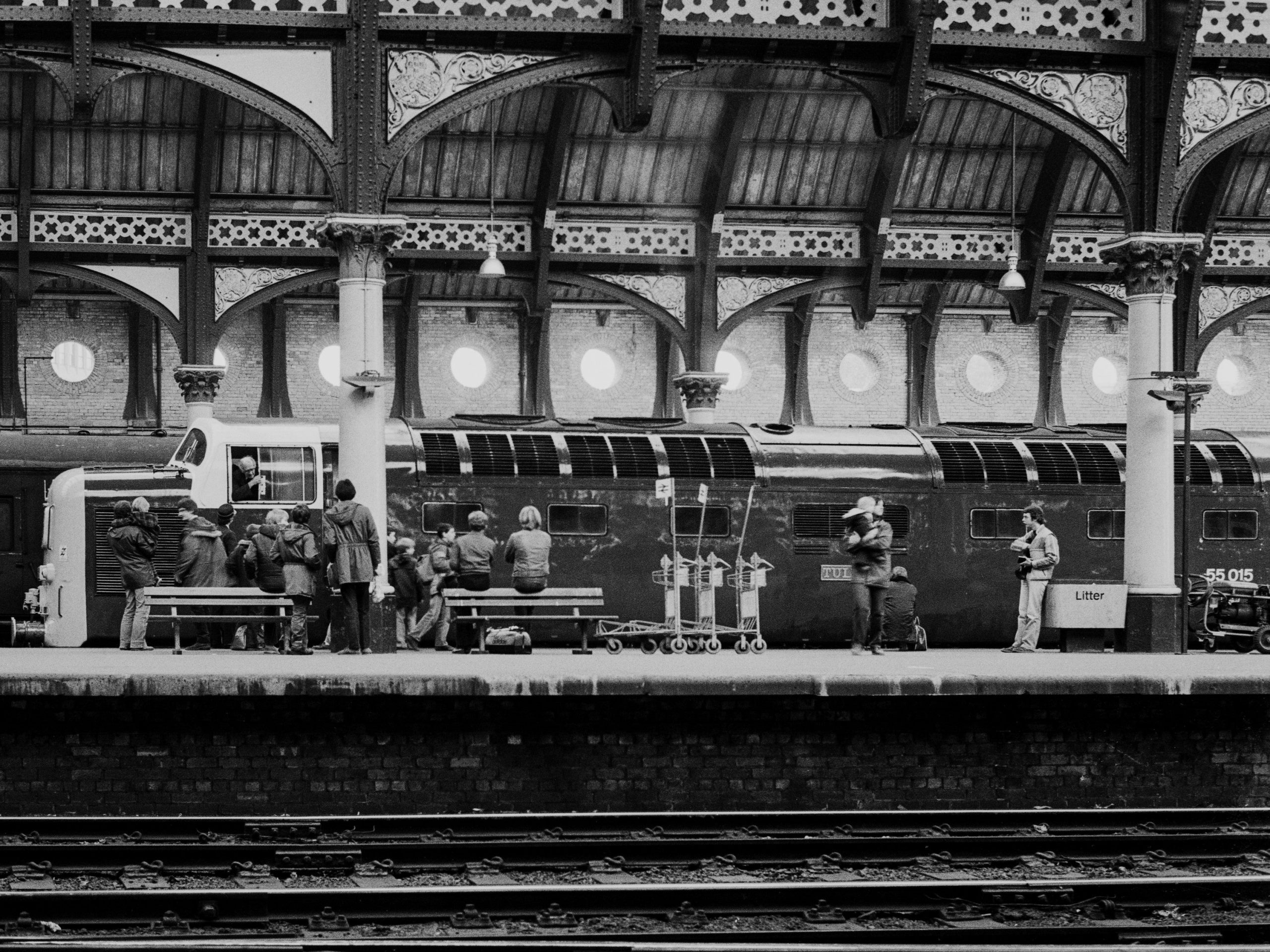 Tulyar at York